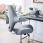 HAG Capisco 8106
