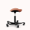 HAG Capisco Puls 8002