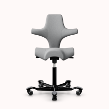 HAG Capisco 8106