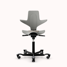 HAG Capisco Puls 8010