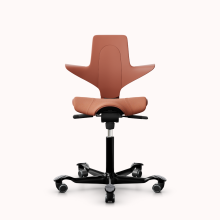 HAG Capisco Puls 8020