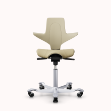 HAG Capisco Puls 8020