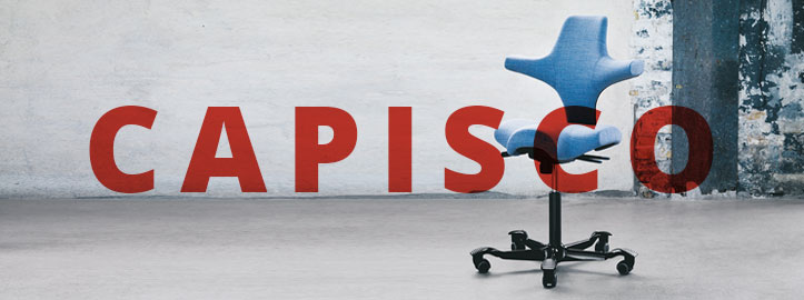 Der Capisco von Hag